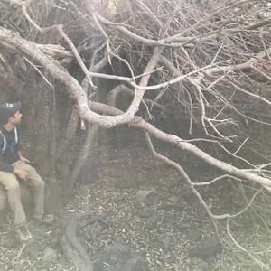 Meet your Posher, Alan